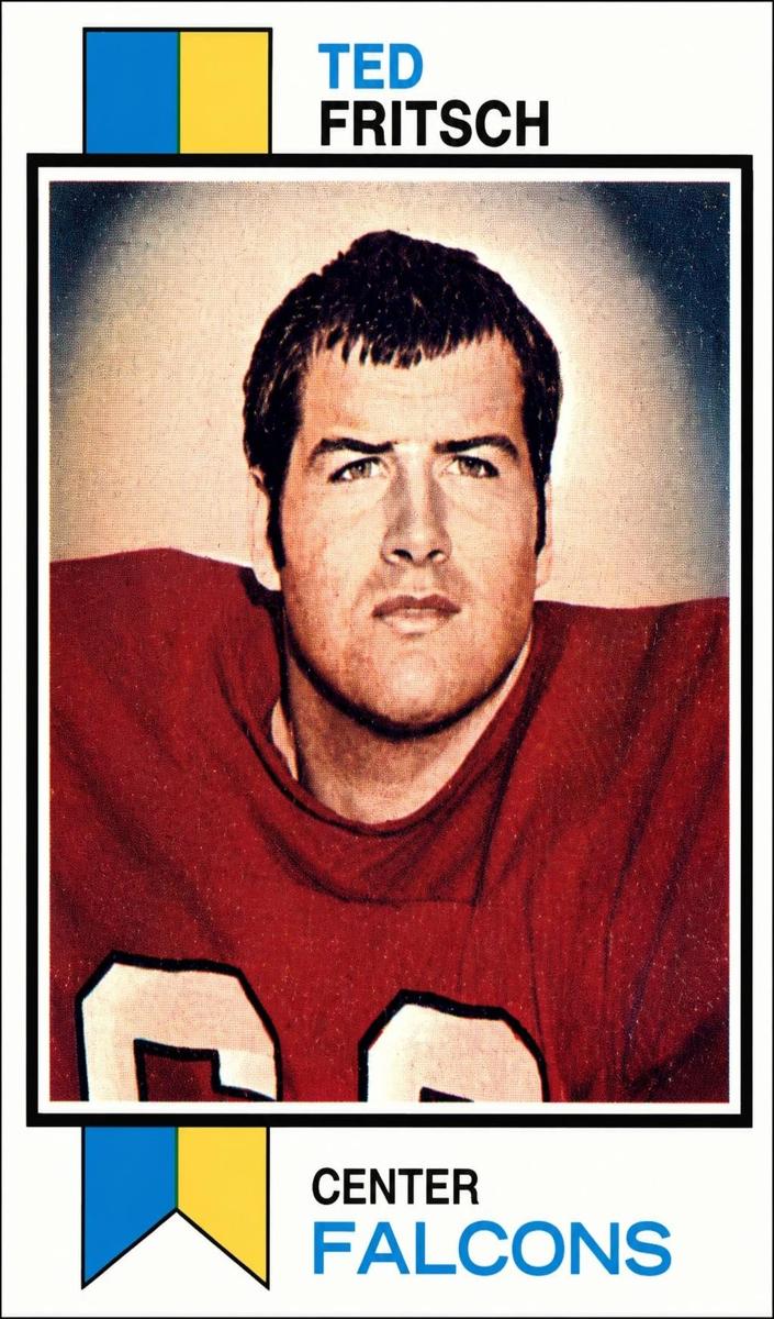 1973 Topps Football Ted Fritsch Jr. #223 PSA 8