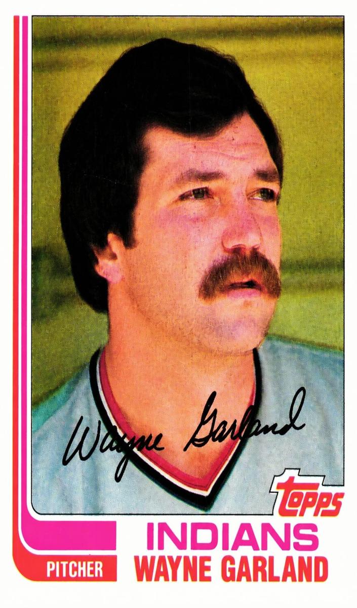 1982 Topps Baseball Wayne Garland #446 PSA 9