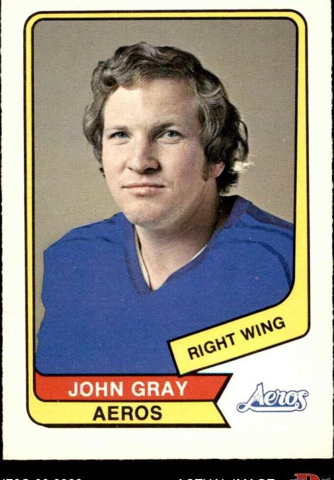 1976 O-Pee-Chee WHA Hockey John Gray #25