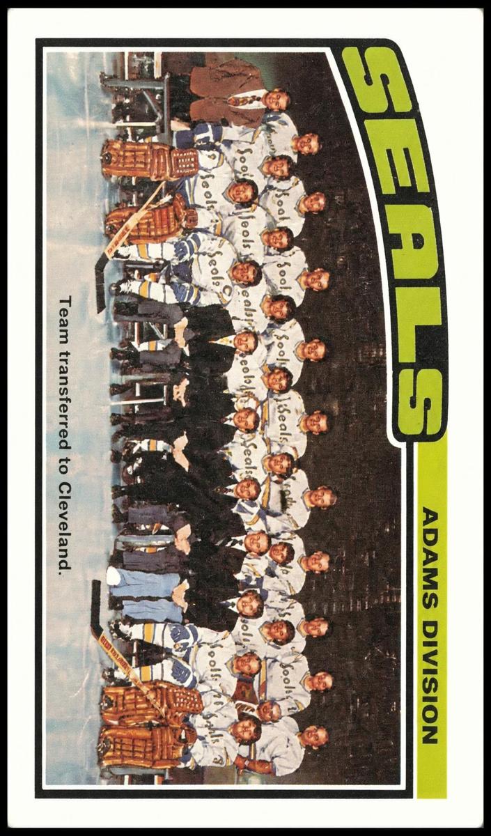 1976 O-Pee-Chee Hockey Seals Team #135