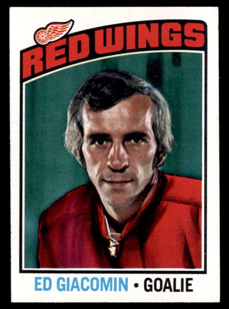 1976 Topps Hockey Ed Giacomin #160