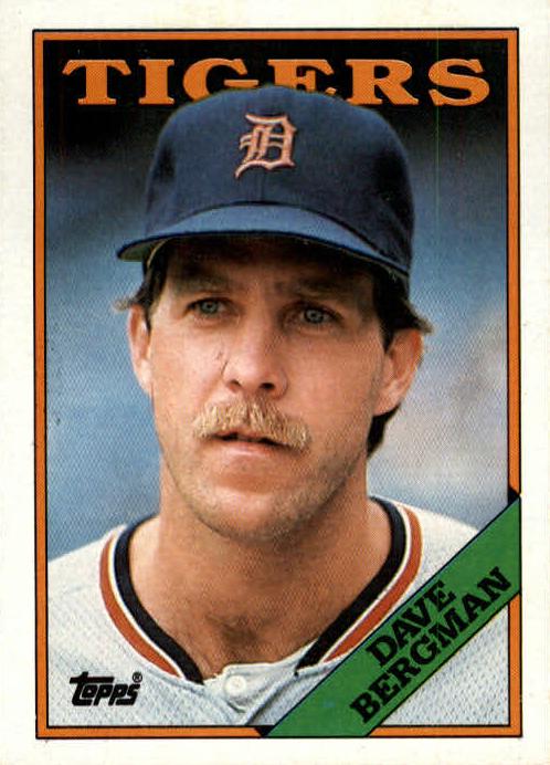 1988 Topps Baseball Dave Bergman #289 PSA 8.5