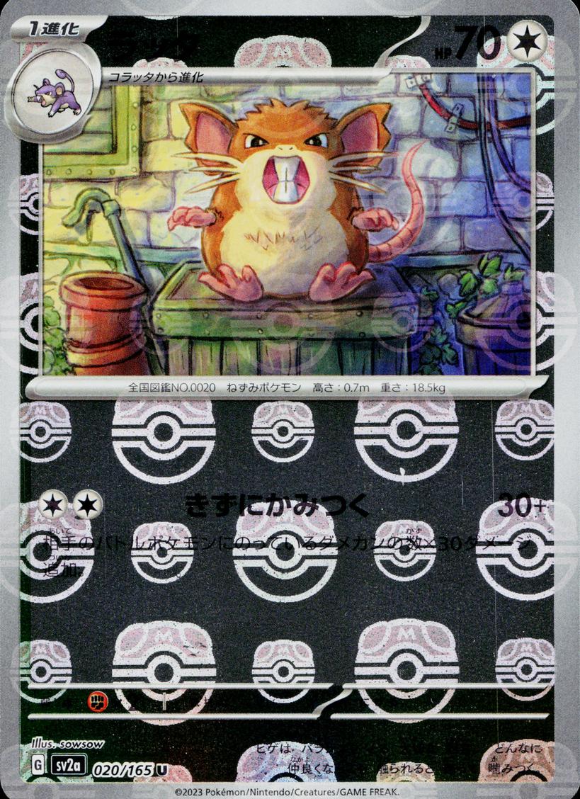 2023 Pokemon Japanese Scarlet & Violet 151 Master Ball Raticate #20 PSA 10