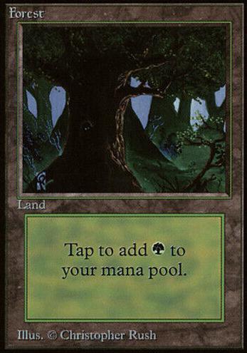 1993 Magic The Gathering Beta Base V2 Forest #NNO CGC 7