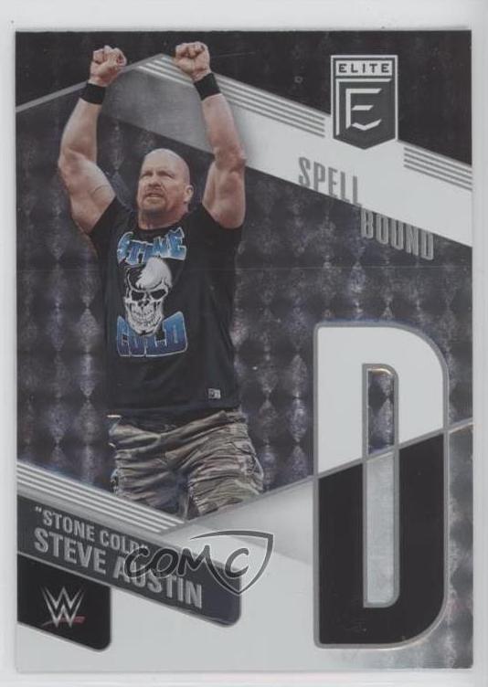 Stone Cold Steve Austin