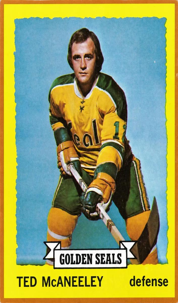 1973 Topps Hockey Ted McAneeley #37