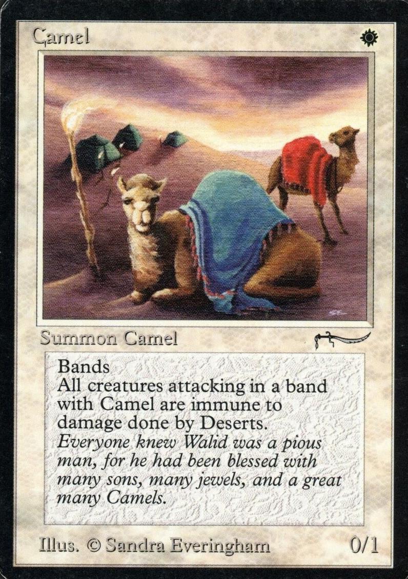 1993 Magic The Gathering Arabian Nights Camel #NNO