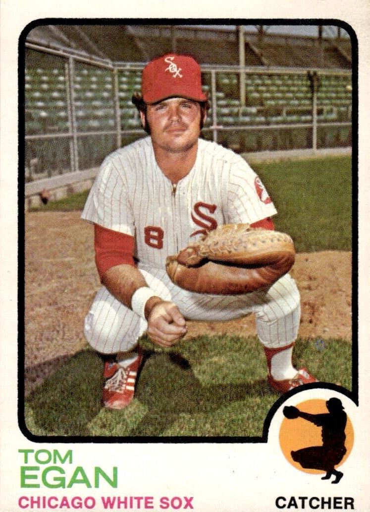 1973 O-Pee-Chee Baseball Tom Egan #648