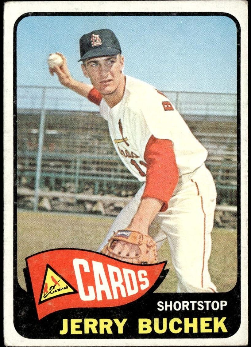 1965 Topps Baseball Jerry Buchek #397 PSA 8