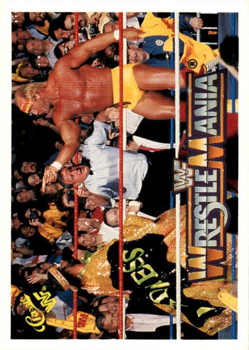 Hulk Hogan