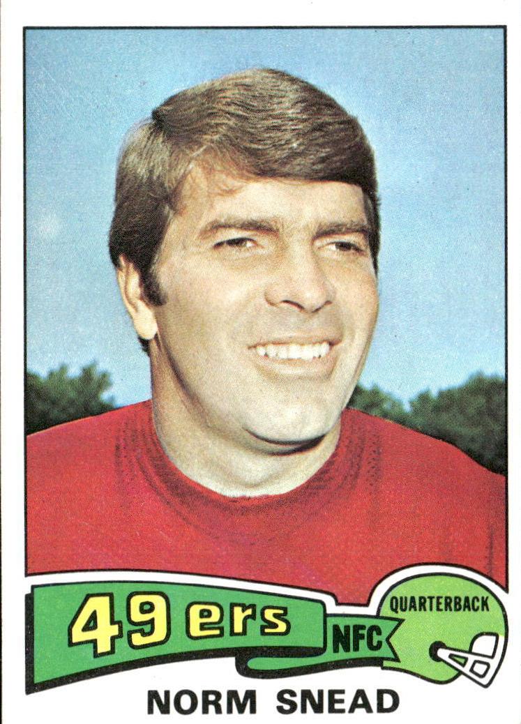 1975 Topps Football Norm Snead #275