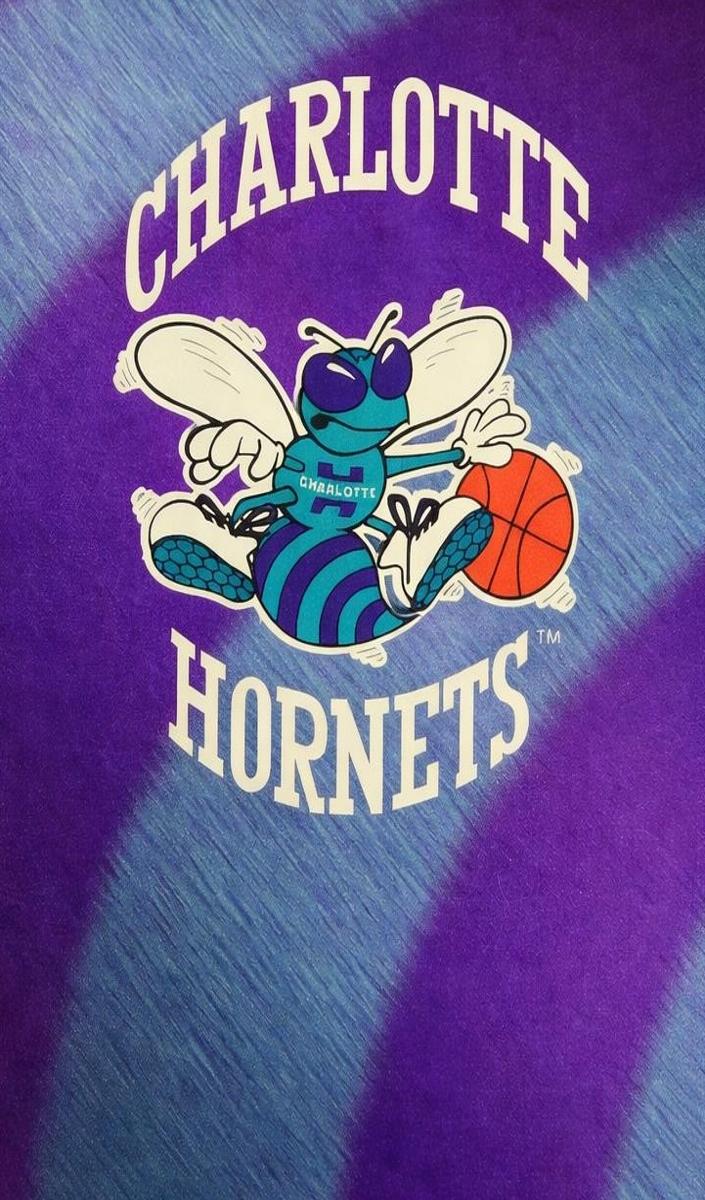 1994 Hoops Basketball Charlotte Hornets #393