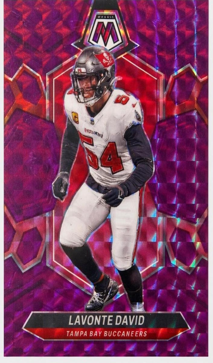 2024 Panini Mosaic Football Purple Lavonte David #209
