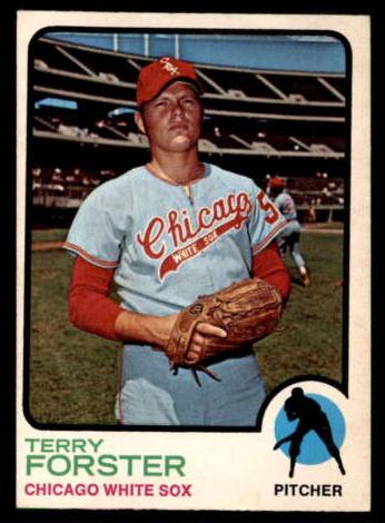 1973 O-Pee-Chee Baseball Terry Forster #129