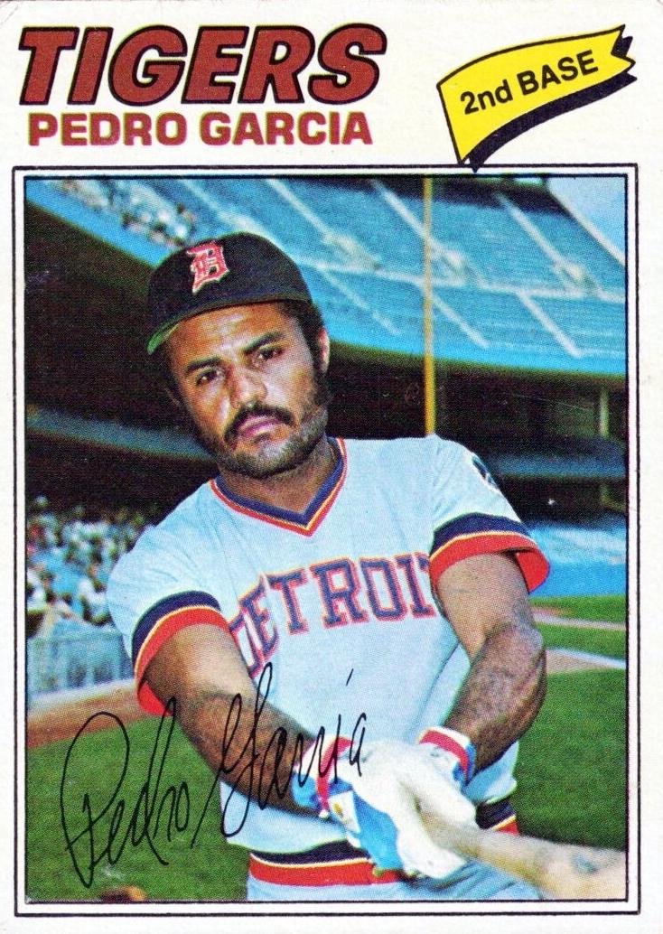 1977 Topps Baseball Pedro Garcia #453