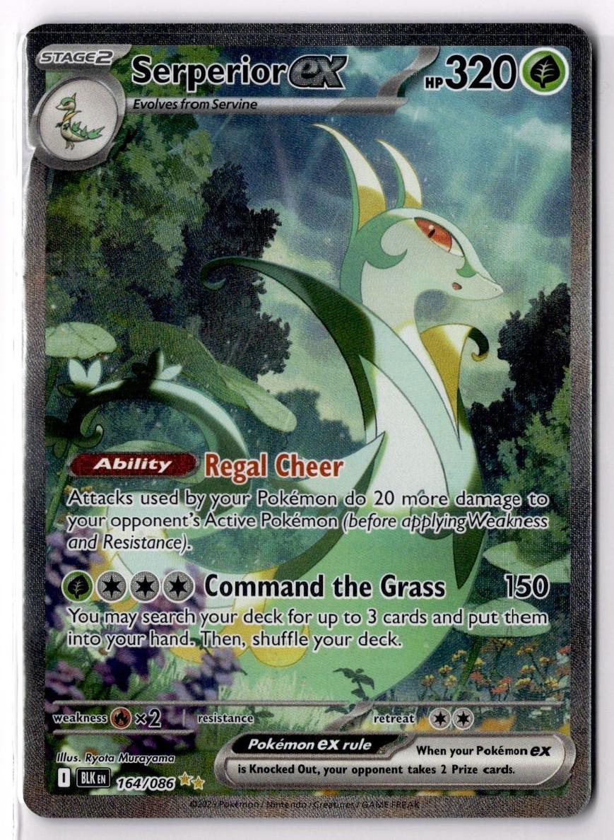 2025 Pokemon Scarlet & Violet Black Bolt Serperior EX #164 PSA 9