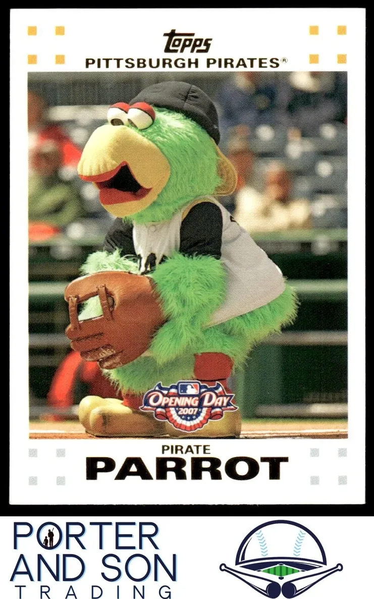 Pirate Parrot