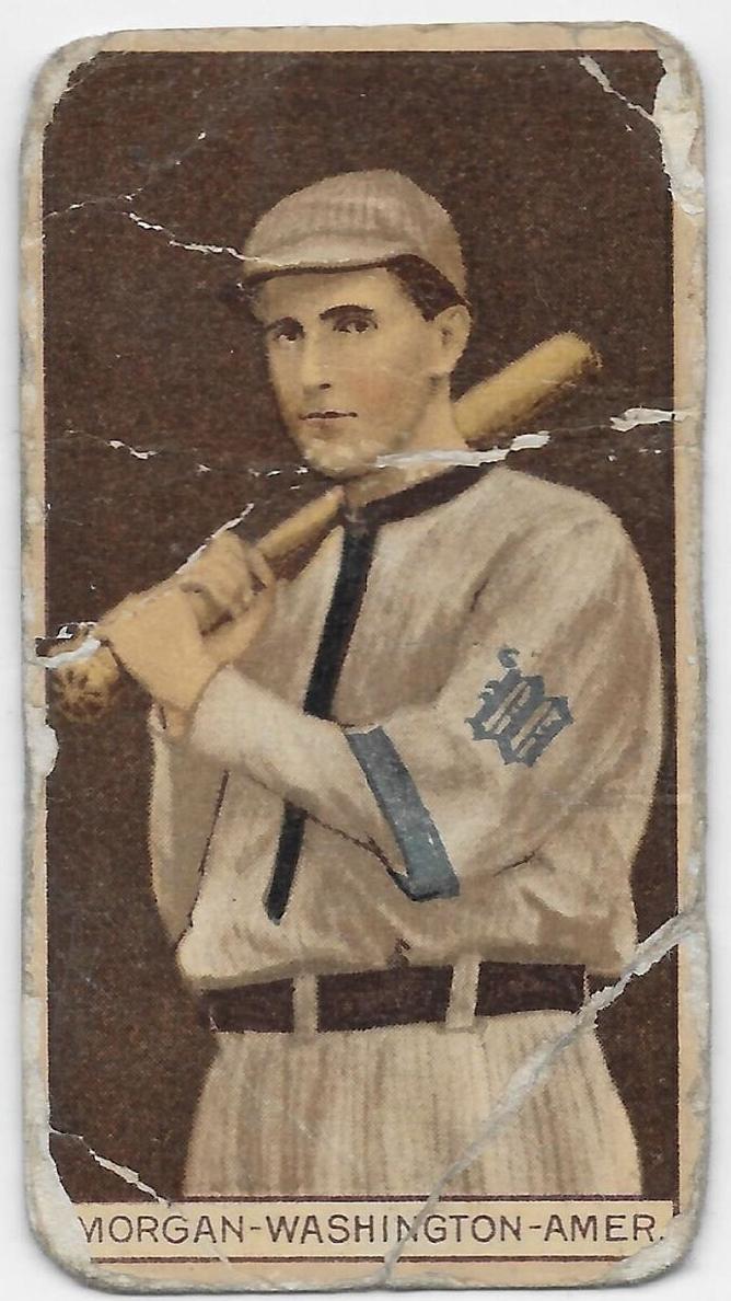 1912 American Tobacco Company Brown Background T207 Baseball Ray Morgan #NNO PSA 4