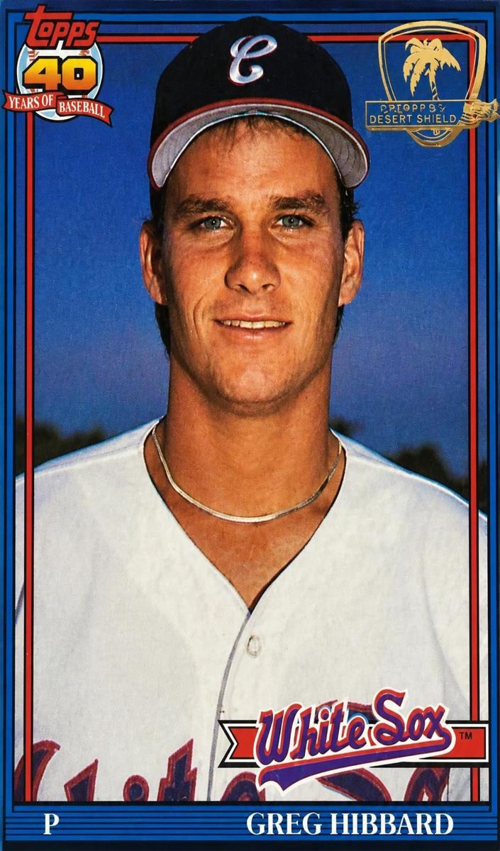 1991 Topps Baseball Greg Hibbard #256