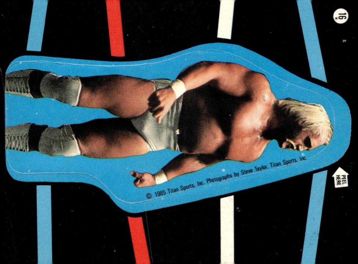 Hulk Hogan