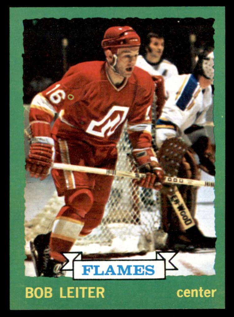 1973 Topps Hockey Bob Leiter #117 PSA 5