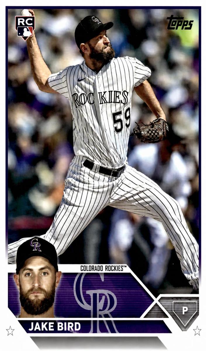 2023 Topps Update Baseball Jake Bird #US162