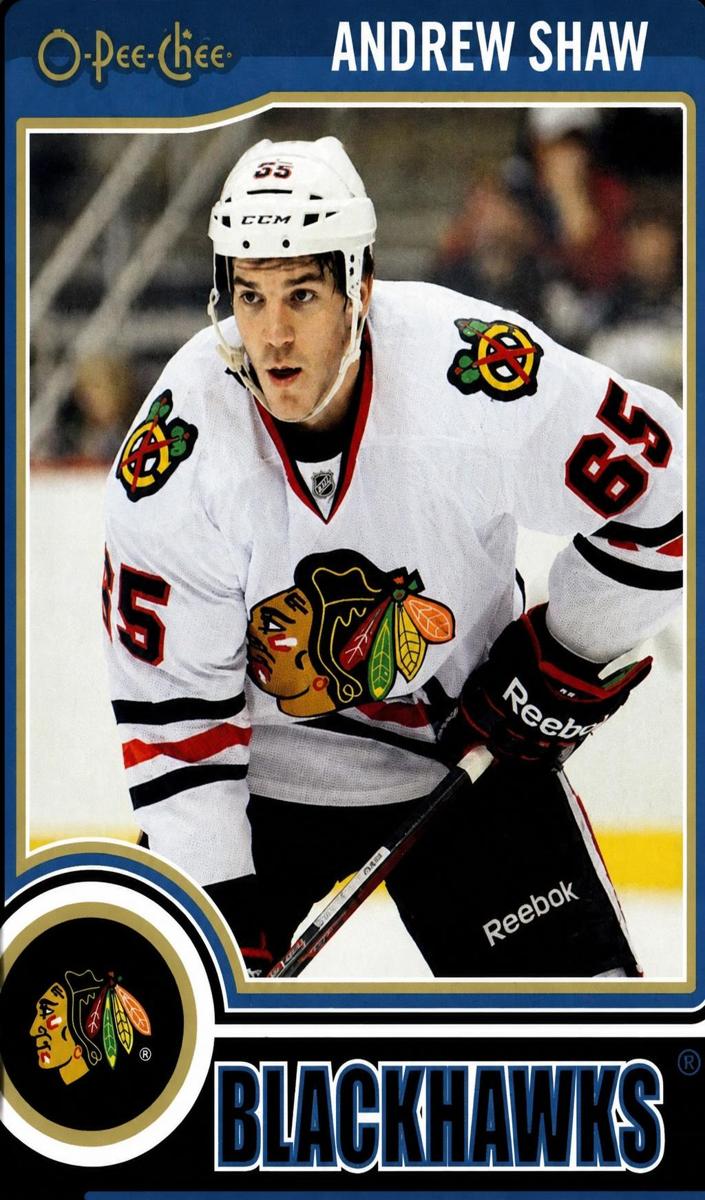 Andrew Shaw