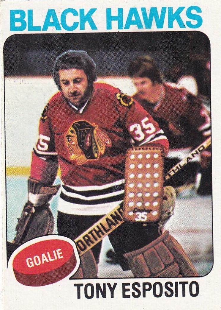 1975 O-Pee-Chee Hockey Tony Esposito #240 PSA 8