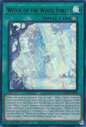 Witches of the White Forest