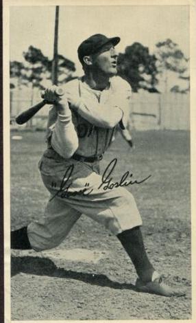 Goose Goslin