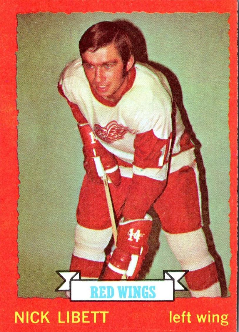 1973 O-Pee-Chee Hockey Nick Libett #49 PSA 7.5
