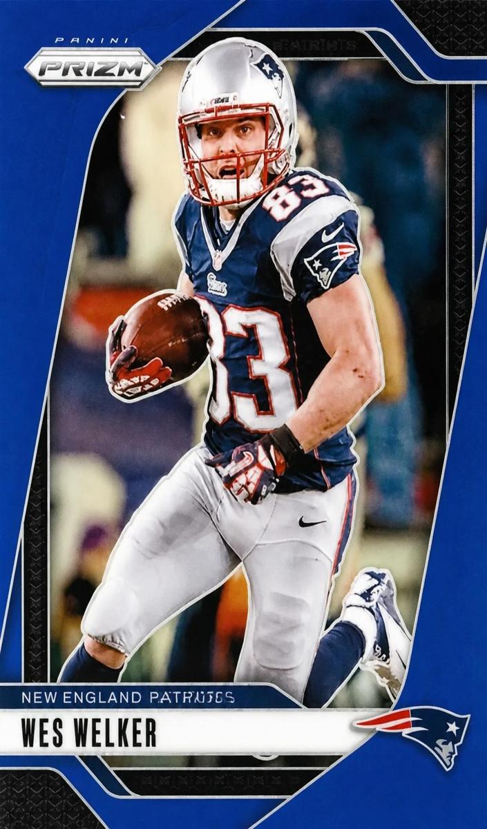 2024 Panini Prizm Football Blue Wes Welker #201