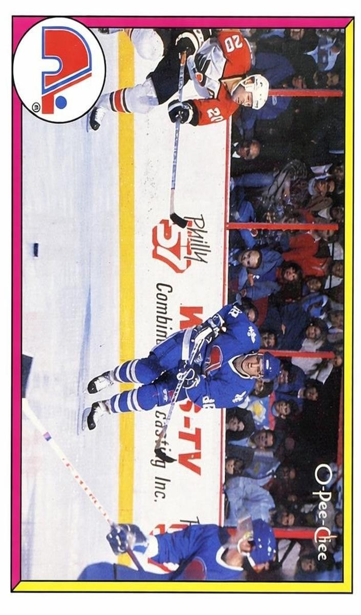 1989 O-Pee-Chee Hockey Quebec Nordiques #313 PSA 9