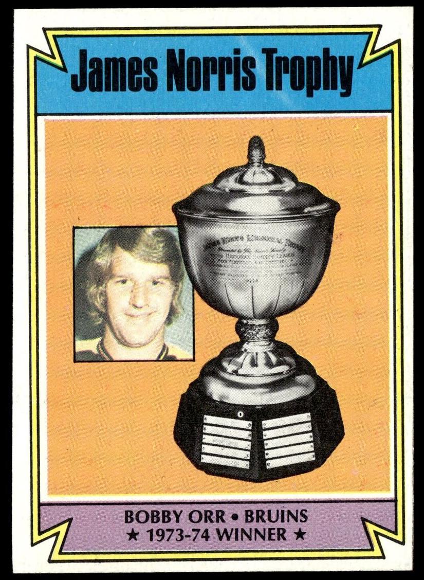 1974 Topps Hockey Norris Trophy #248 PSA 7
