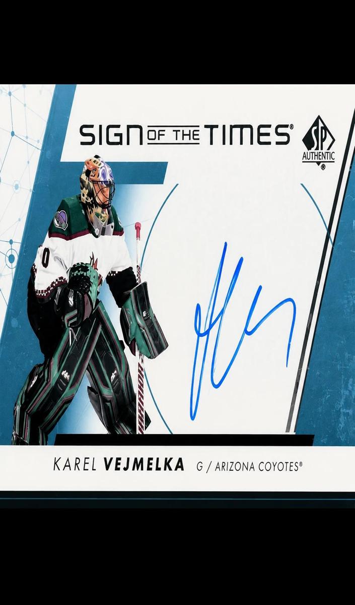 Karel Vejmelka