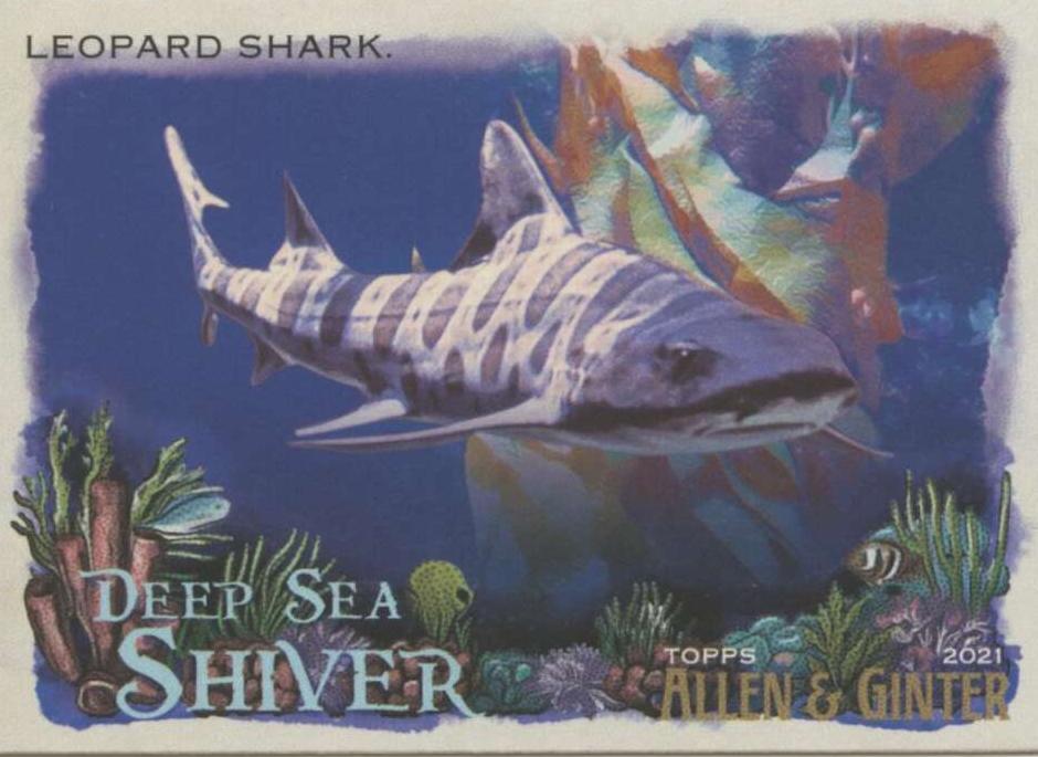 2021 Topps Allen & Ginter Baseball Leopard Shark #DSS-12